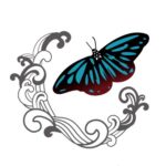 風羽李　fuwari cycling